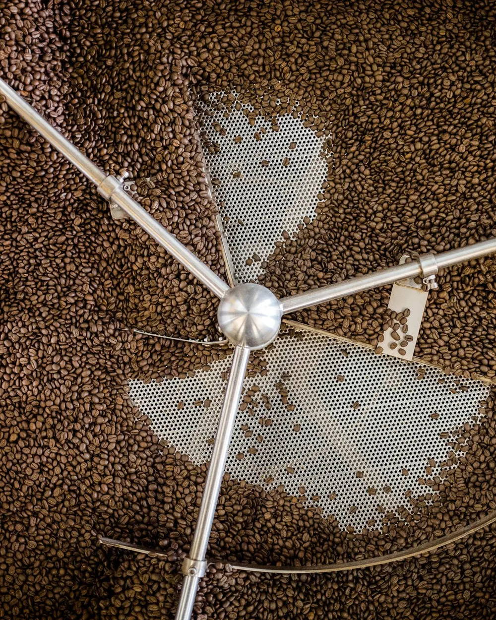 Roasted coffee beans cooling in a professional metal tray.